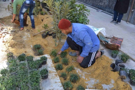 <a class="fancybox" rel="gallery-images" href="https://cuip.clustermappinginitiative.org/sites/default/files/styles/largest/public/12._dsc_0465.jpg?itok=AO_G5jyl" title="Construction phase: Planting">Enlarge</a><br >Construction phase: Planting