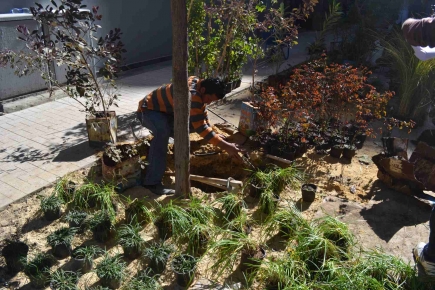 <a class="fancybox" rel="gallery-images" href="https://cuip.clustermappinginitiative.org/sites/default/files/styles/largest/public/13._dsc_0464.jpg?itok=bE8TWm_T" title="Construction phase: Planting">Enlarge</a><br >Construction phase: Planting
