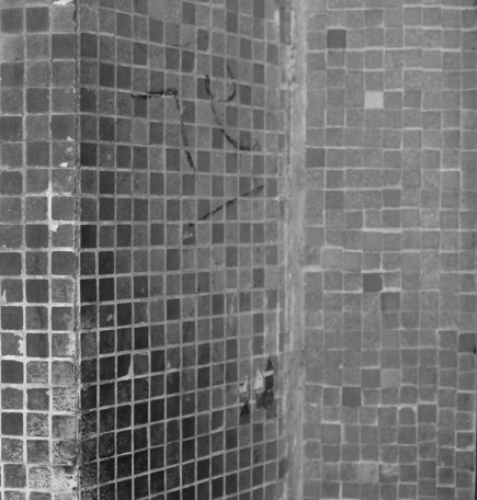 <a class="fancybox" rel="gallery-materials-and-textures" href="https://cuip.clustermappinginitiative.org/sites/default/files/styles/largest/public/a26_01.jpg?itok=gnlSGUzz" title="">Enlarge</a><br >