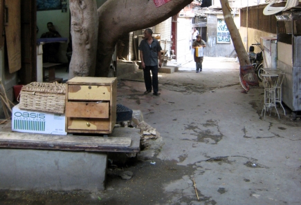 <a class="fancybox" rel="gallery-street-furniture" href="https://cuip.clustermappinginitiative.org/sites/default/files/styles/largest/public/c3_5b_01_1.jpg?itok=RjhAIXjP" title="">Enlarge</a><br >