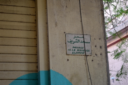 <a class="fancybox" rel="gallery-signage-and-space-annotations" href="https://cuip.clustermappinginitiative.org/sites/default/files/styles/largest/public/dsc_0183_0.jpg?itok=SNdI-9LR" title="">Enlarge</a><br >