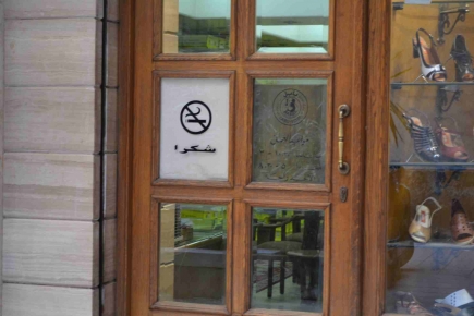 <a class="fancybox" rel="gallery-signage-and-space-annotations" href="https://cuip.clustermappinginitiative.org/sites/default/files/styles/largest/public/dsc_0208_01.jpg?itok=7ZsmKpvF" title="">Enlarge</a><br >