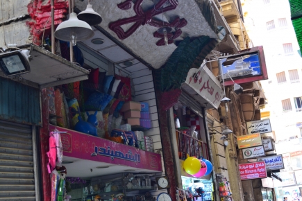 <a class="fancybox" rel="gallery-signage-and-space-annotations" href="https://cuip.clustermappinginitiative.org/sites/default/files/styles/largest/public/dsc_0299_01.jpg?itok=VMitSZ3Z" title="">Enlarge</a><br >