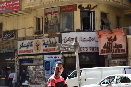<a class="fancybox" rel="gallery-signage-and-space-annotations" href="https://cuip.clustermappinginitiative.org/sites/default/files/styles/largest/public/dsc_0316_01.jpg?itok=O6kx9UOw" title="">Enlarge</a><br >