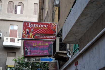 <a class="fancybox" rel="gallery-signage-and-space-annotations" href="https://cuip.clustermappinginitiative.org/sites/default/files/styles/largest/public/dsc_0406_01_1.jpg?itok=5JIgKxEH" title="">Enlarge</a><br >