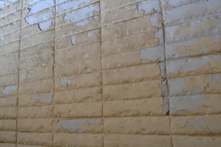<a class="fancybox" rel="gallery-materials-and-textures" href="https://cuip.clustermappinginitiative.org/sites/default/files/styles/largest/public/dsc_0408_01_2.jpg?itok=Cf8ppCmA" title="Wall cladding">Enlarge</a><br >Wall cladding