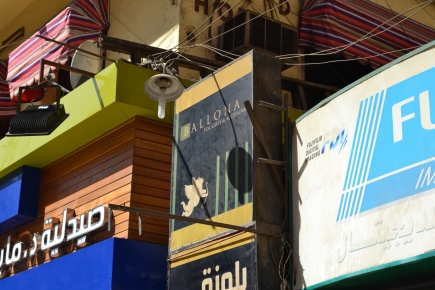 <a class="fancybox" rel="gallery-signage-and-space-annotations" href="https://cuip.clustermappinginitiative.org/sites/default/files/styles/largest/public/dsc_0417_01.jpg?itok=6DjvXfbL" title="">Enlarge</a><br >