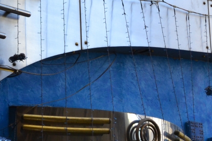 <a class="fancybox" rel="gallery-materials-and-textures" href="https://cuip.clustermappinginitiative.org/sites/default/files/styles/largest/public/dsc_0460b_01.jpg?itok=iiEYfmx8" title="Wall">Enlarge</a><br >Wall