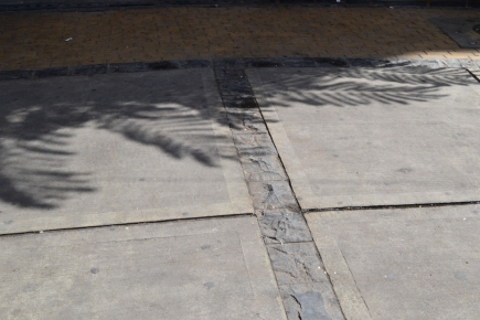<a class="fancybox" rel="gallery-materials-and-textures" href="https://cuip.clustermappinginitiative.org/sites/default/files/styles/largest/public/dsc_0475_01.jpg?itok=64g_t8tM" title="Flooring">Enlarge</a><br >Flooring