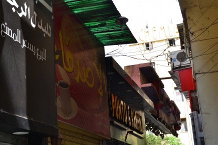 <a class="fancybox" rel="gallery-signage-and-space-annotations" href="https://cuip.clustermappinginitiative.org/sites/default/files/styles/largest/public/dsc_0544_01.jpg?itok=Rj31Pr6x" title="">Enlarge</a><br >