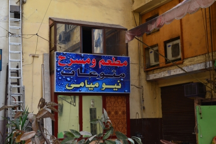 <a class="fancybox" rel="gallery-signage-and-space-annotations" href="https://cuip.clustermappinginitiative.org/sites/default/files/styles/largest/public/dsc_0565_01.jpg?itok=n57aR1vP" title="">Enlarge</a><br >