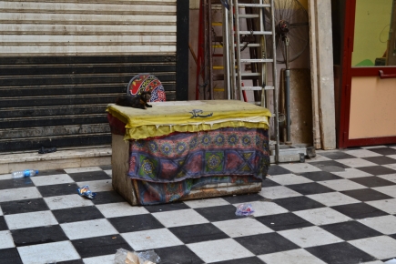 <a class="fancybox" rel="gallery-street-furniture" href="https://cuip.clustermappinginitiative.org/sites/default/files/styles/largest/public/dsc_0567_01.jpg?itok=J8ucPOIL" title="">Enlarge</a><br >