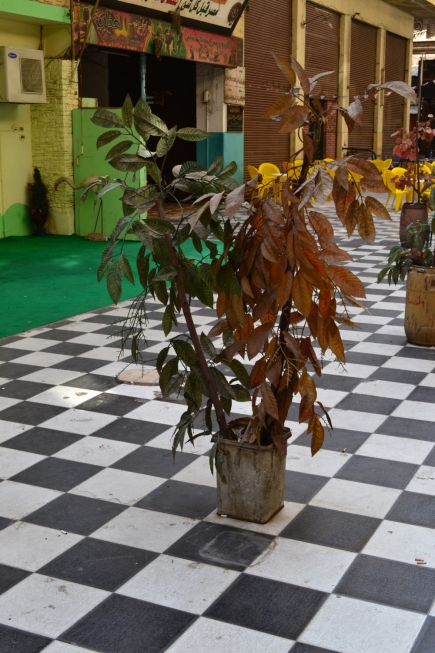 <a class="fancybox" rel="gallery-street-furniture" href="https://cuip.clustermappinginitiative.org/sites/default/files/styles/largest/public/dsc_0570_01.jpg?itok=Lt72PhJ0" title="">Enlarge</a><br >