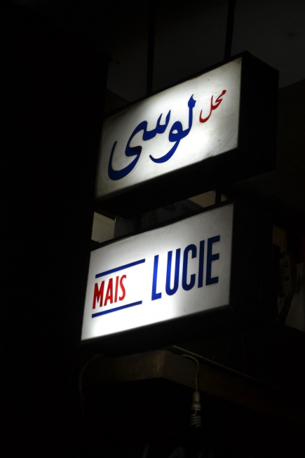 <a class="fancybox" rel="gallery-signage-and-space-annotations" href="https://cuip.clustermappinginitiative.org/sites/default/files/styles/largest/public/dsc_0579_01_0.jpg?itok=PoZ55Zi3" title="">Enlarge</a><br >