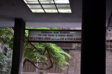 <a class="fancybox" rel="gallery-signage-and-space-annotations" href="https://cuip.clustermappinginitiative.org/sites/default/files/styles/largest/public/dsc_0580_01.jpg?itok=5_I3_n_D" title="">Enlarge</a><br >