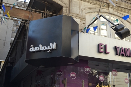 <a class="fancybox" rel="gallery-signage-and-space-annotations" href="https://cuip.clustermappinginitiative.org/sites/default/files/styles/largest/public/dsc_0723_01.jpg?itok=T4ZsyCPQ" title="">Enlarge</a><br >