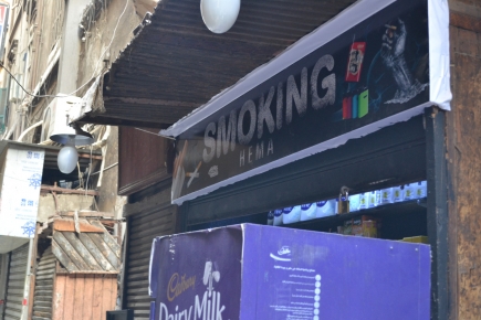 <a class="fancybox" rel="gallery-signage-and-space-annotations" href="https://cuip.clustermappinginitiative.org/sites/default/files/styles/largest/public/dsc_0812_01.jpg?itok=zHDz_iEV" title="">Enlarge</a><br >