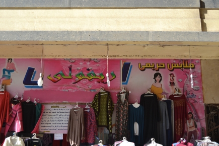 <a class="fancybox" rel="gallery-signage-and-space-annotations" href="https://cuip.clustermappinginitiative.org/sites/default/files/styles/largest/public/dsc_1178_01_1.jpg?itok=u4YVVoyB" title="">Enlarge</a><br >