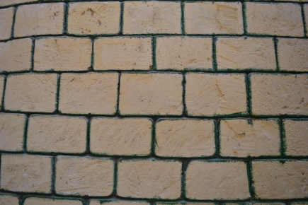 <a class="fancybox" rel="gallery-materials-and-textures" href="https://cuip.clustermappinginitiative.org/sites/default/files/styles/largest/public/dsc_1203_01.jpg?itok=0fkKlrQJ" title="Wall structure">Enlarge</a><br >Wall structure