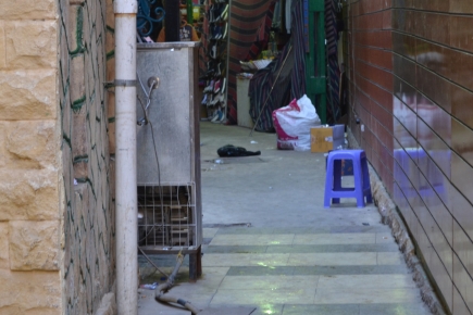 <a class="fancybox" rel="gallery-street-furniture" href="https://cuip.clustermappinginitiative.org/sites/default/files/styles/largest/public/dsc_1213b_01.jpg?itok=vLKowTJ5" title="">تكبير</a><br >