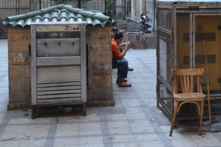 <a class="fancybox" rel="gallery-street-furniture" href="https://cuip.clustermappinginitiative.org/sites/default/files/styles/largest/public/dsc_1239b_01.jpg?itok=zfMzaT8S" title="">Enlarge</a><br >