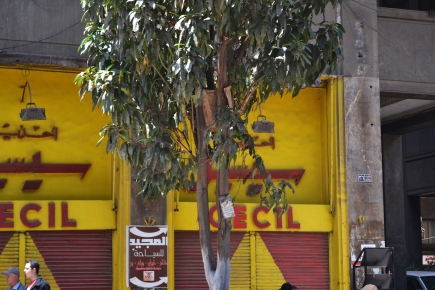 <a class="fancybox" rel="gallery-signage-and-space-annotations" href="https://cuip.clustermappinginitiative.org/sites/default/files/styles/largest/public/e5i008_2.jpg?itok=-rnS7pPC" title="Old facade of a shoe shop on the southern side of the passageway.">Enlarge</a><br >2015, Sep 15, 03:09pm<br>Old facade of a shoe shop on the southern side of the passageway.