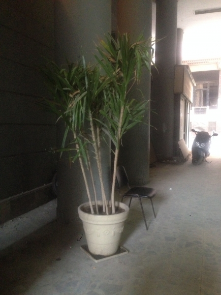 <a class="fancybox" rel="gallery-street-furniture" href="https://cuip.clustermappinginitiative.org/sites/default/files/styles/largest/public/img_0427copy.jpg?itok=osbJnx5y" title="">تكبير</a><br >